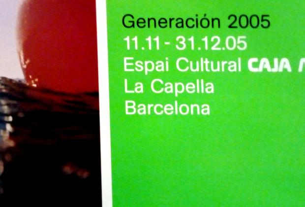 Generació 2005. Premis i beques d'art Caja Madrid