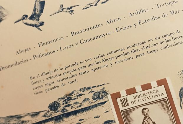 Visita Biblioteca