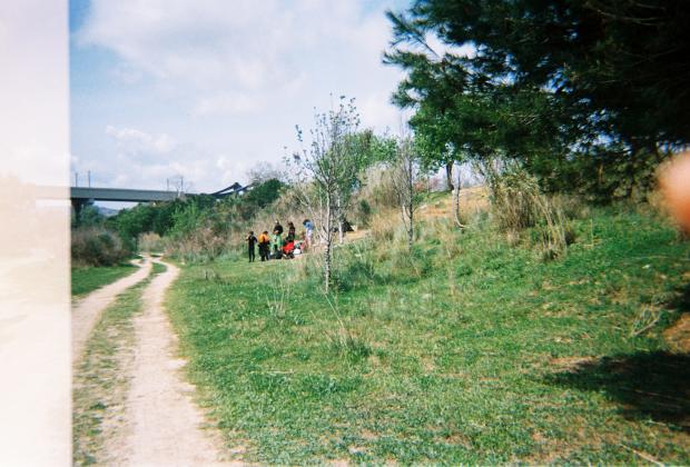 Hamaca