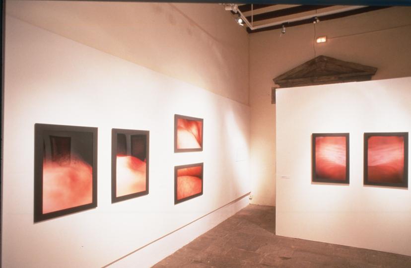 David Saborido