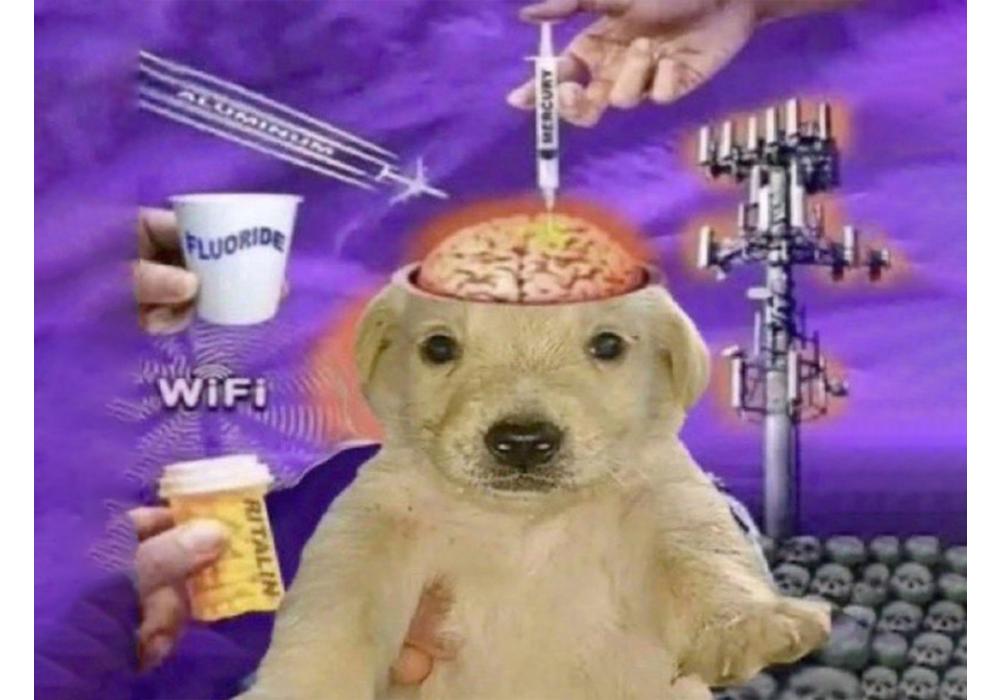 cacabanal