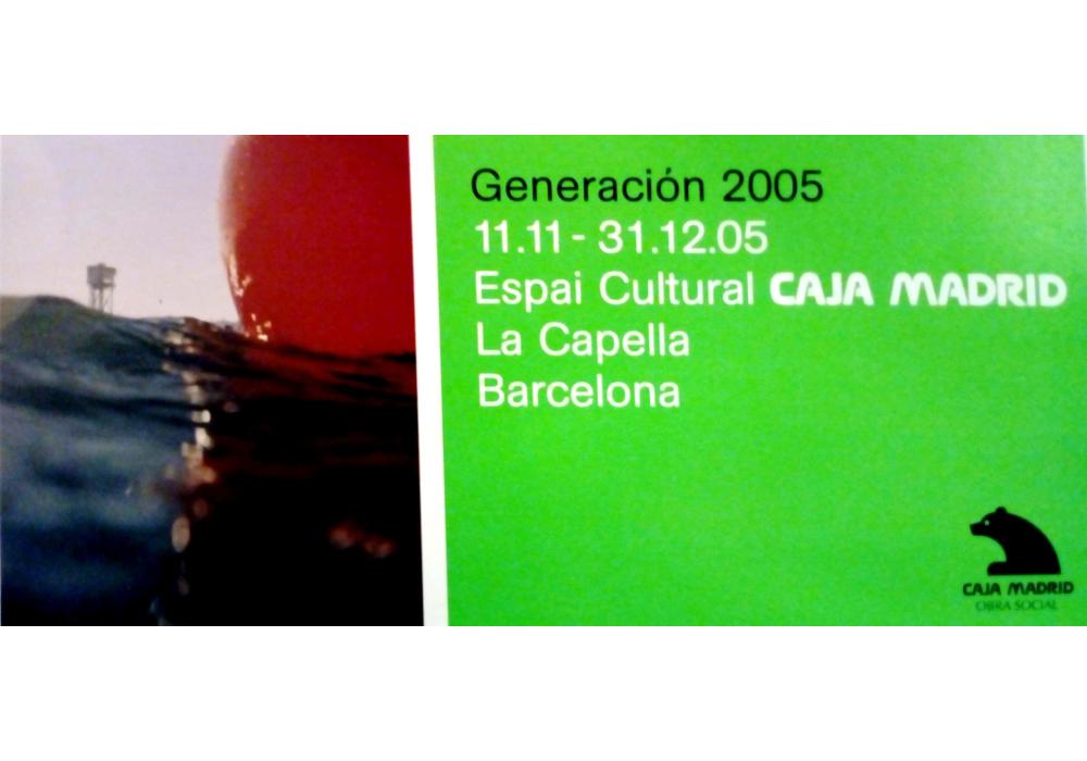 Generació 2005. Premis i beques d&#039;art Caja Madrid