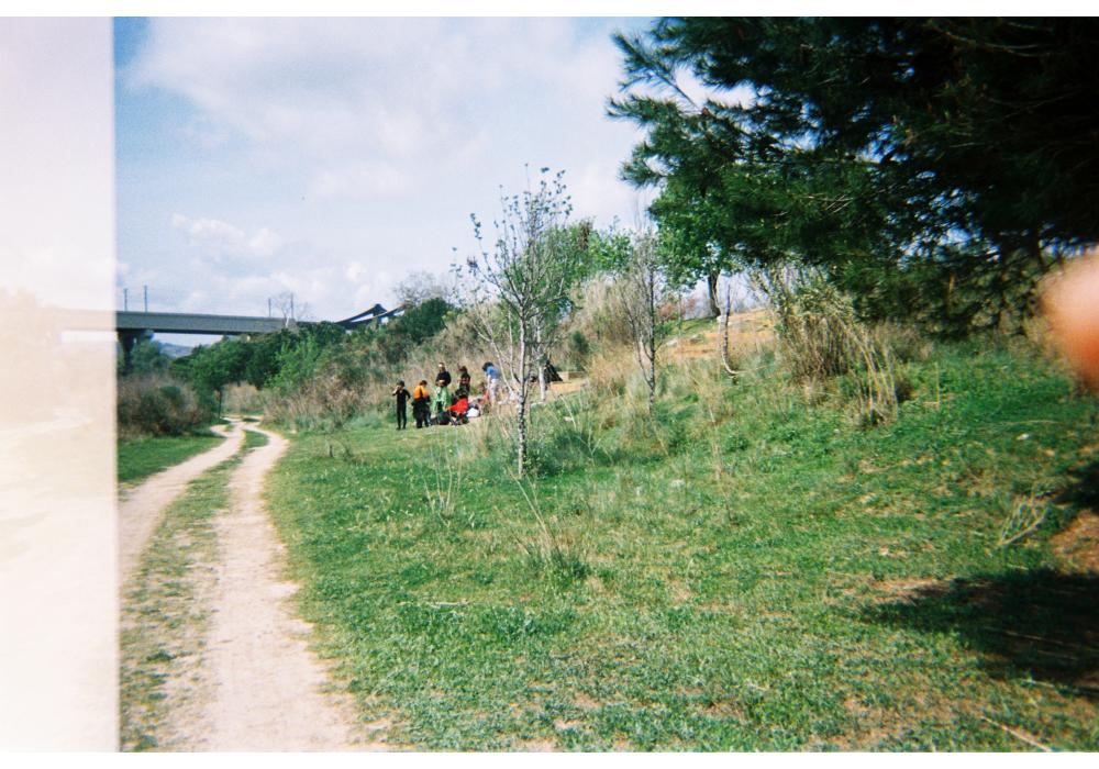 Hamaca
