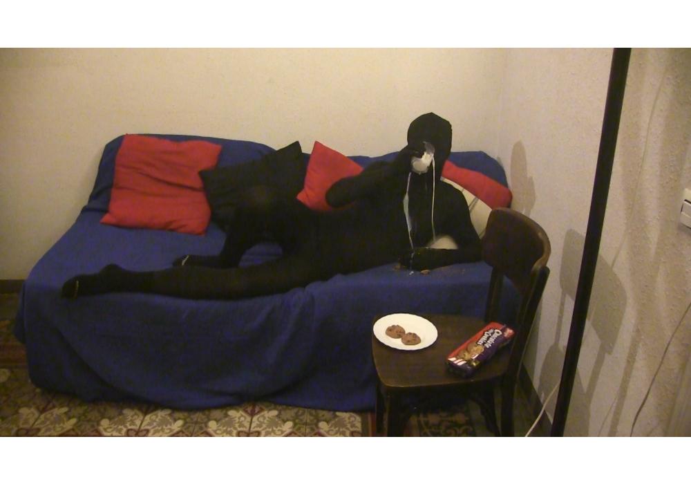 Artengo 2000