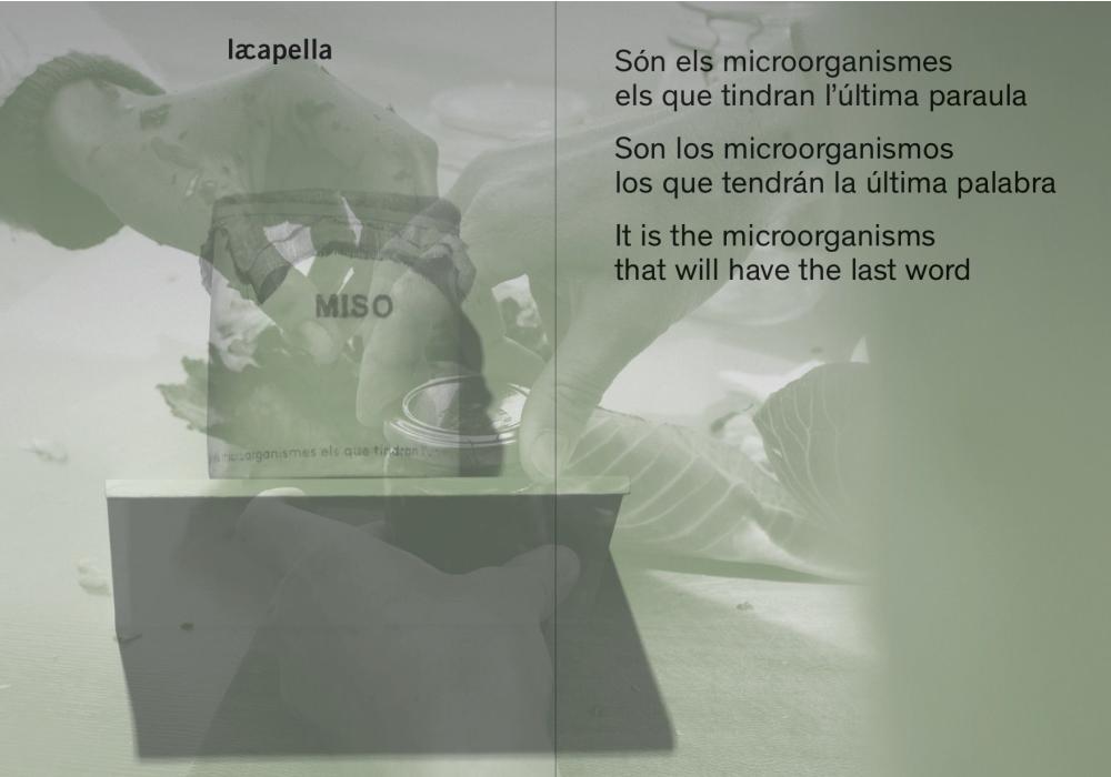 son els microorganismes els que tindran l&#039;última paraula. publicació